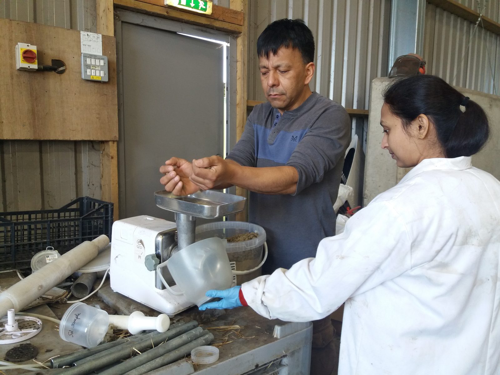 Working in the lab