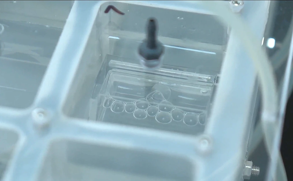 Gas bubbles inside a transparent flow meter chamber